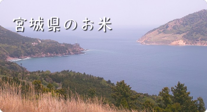 宮城県のお米