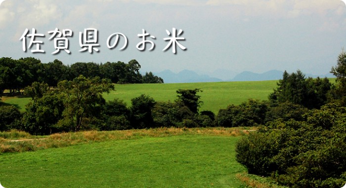 佐賀県のお米