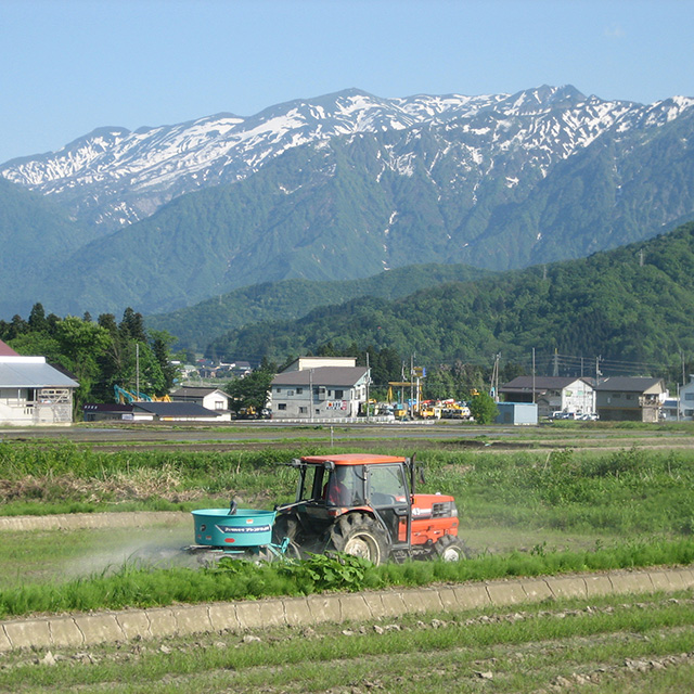 生産者でお米を選ぶ