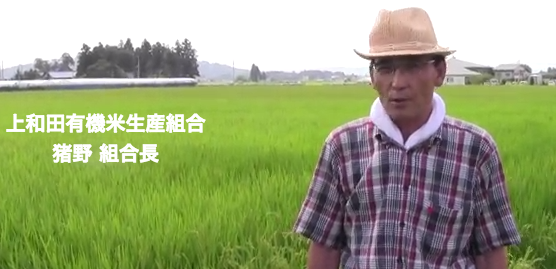 上和田有機米生産組合動画