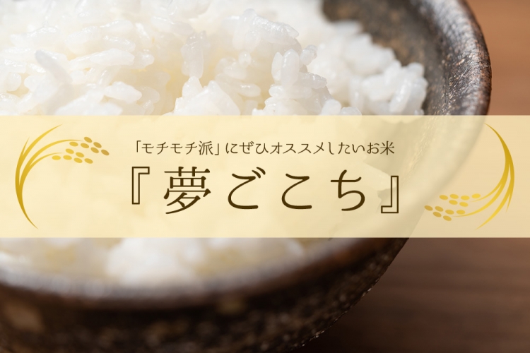 yume-1