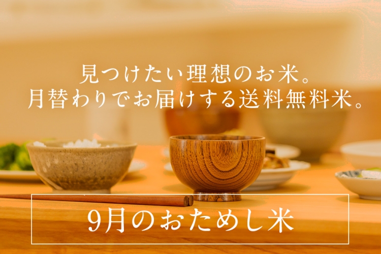 otamashi_202009