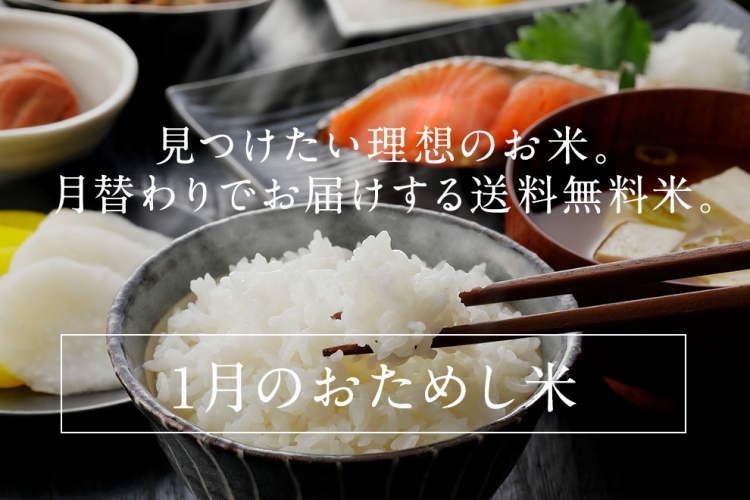 otamashi_2021_1