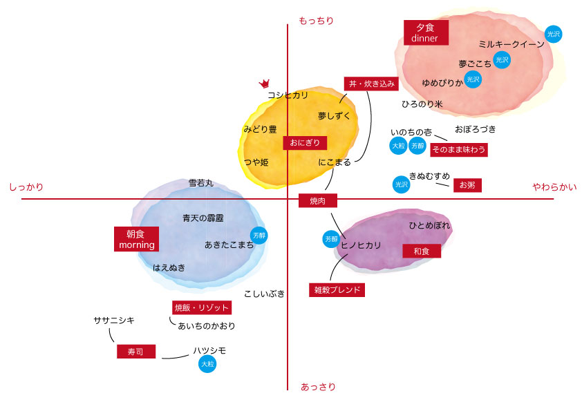 品種別チャートのイメージ画像