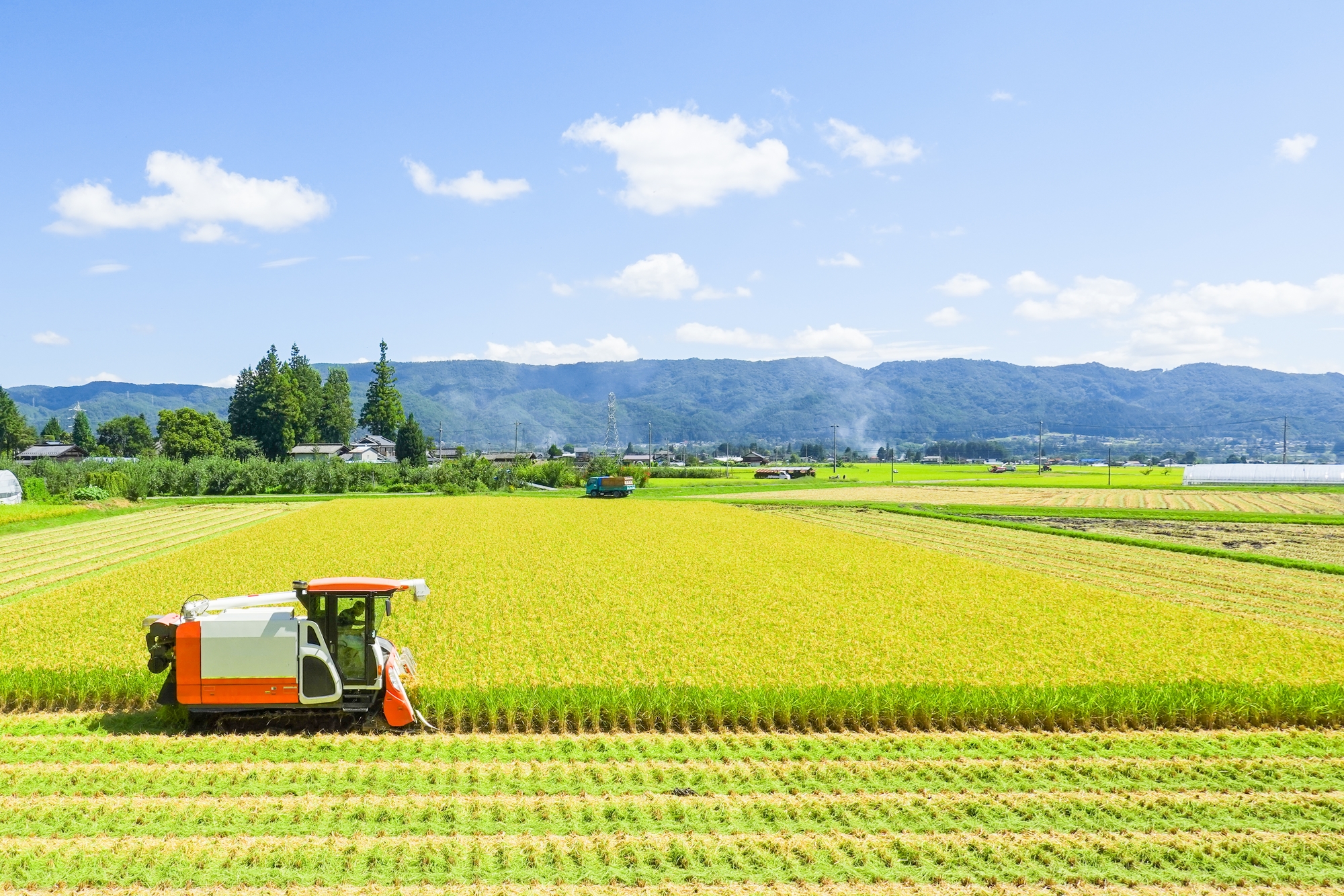 田植えのイメージ画像