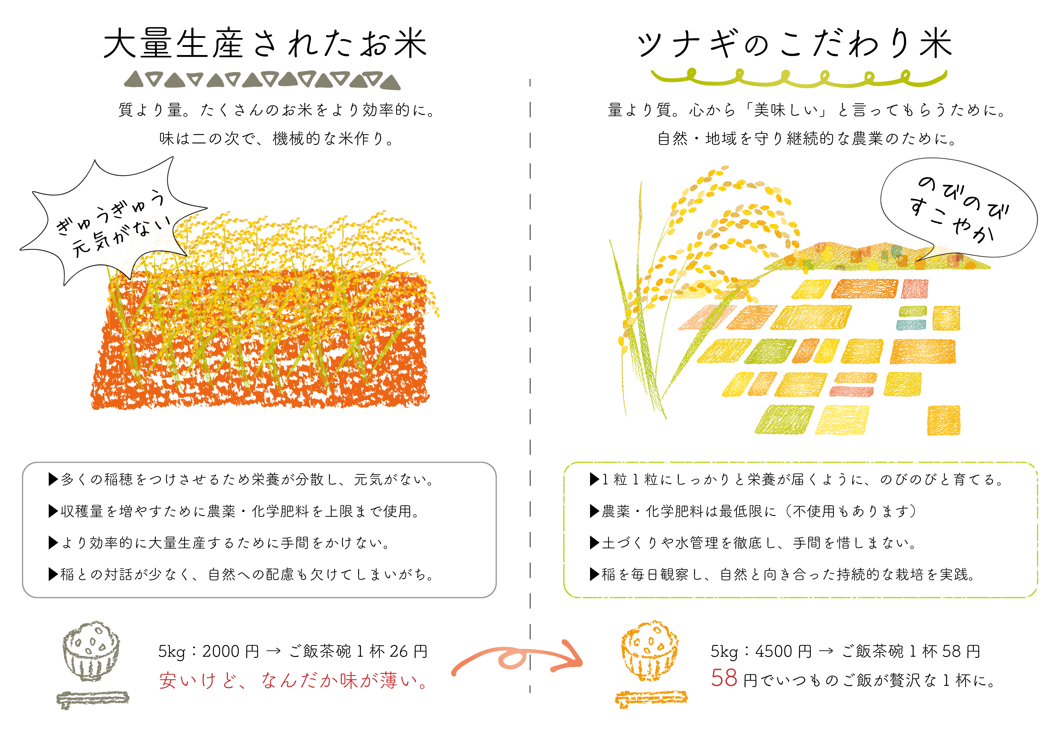 「機械的に大量生産されたお米」と「ツナギのお米」の違いイメージ画像