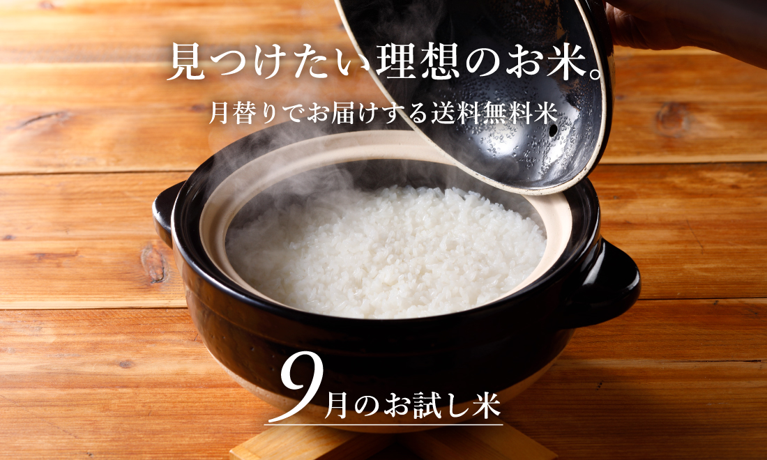お米のイメージ画像