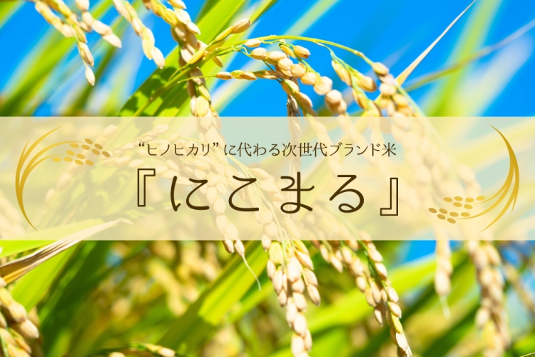 nikomaru-1