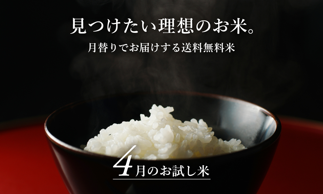 お米のイメージ画像