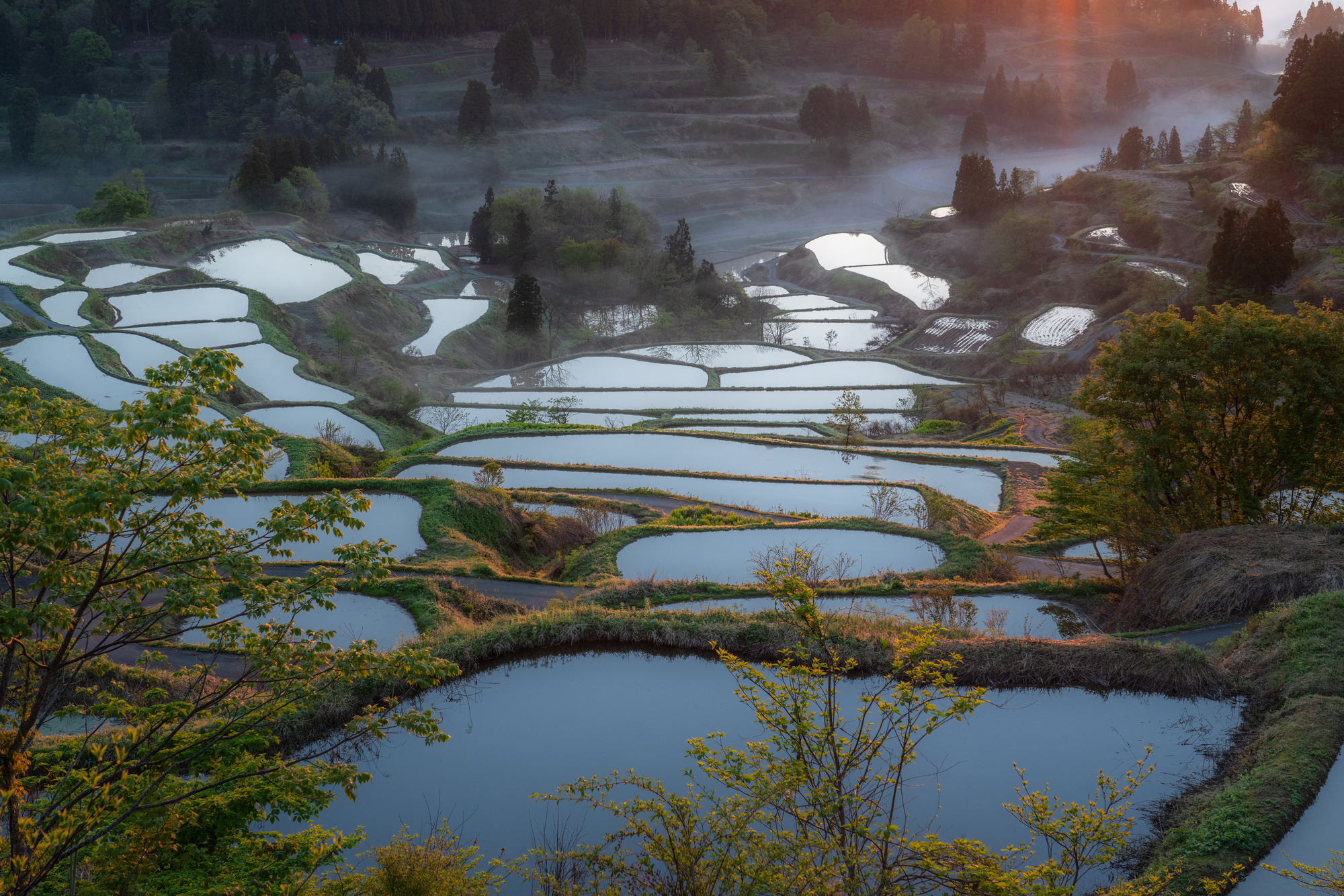 新潟県の棚田