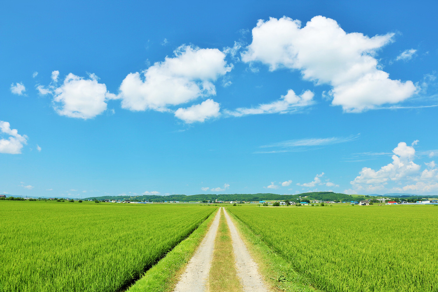 北海道のイメージ