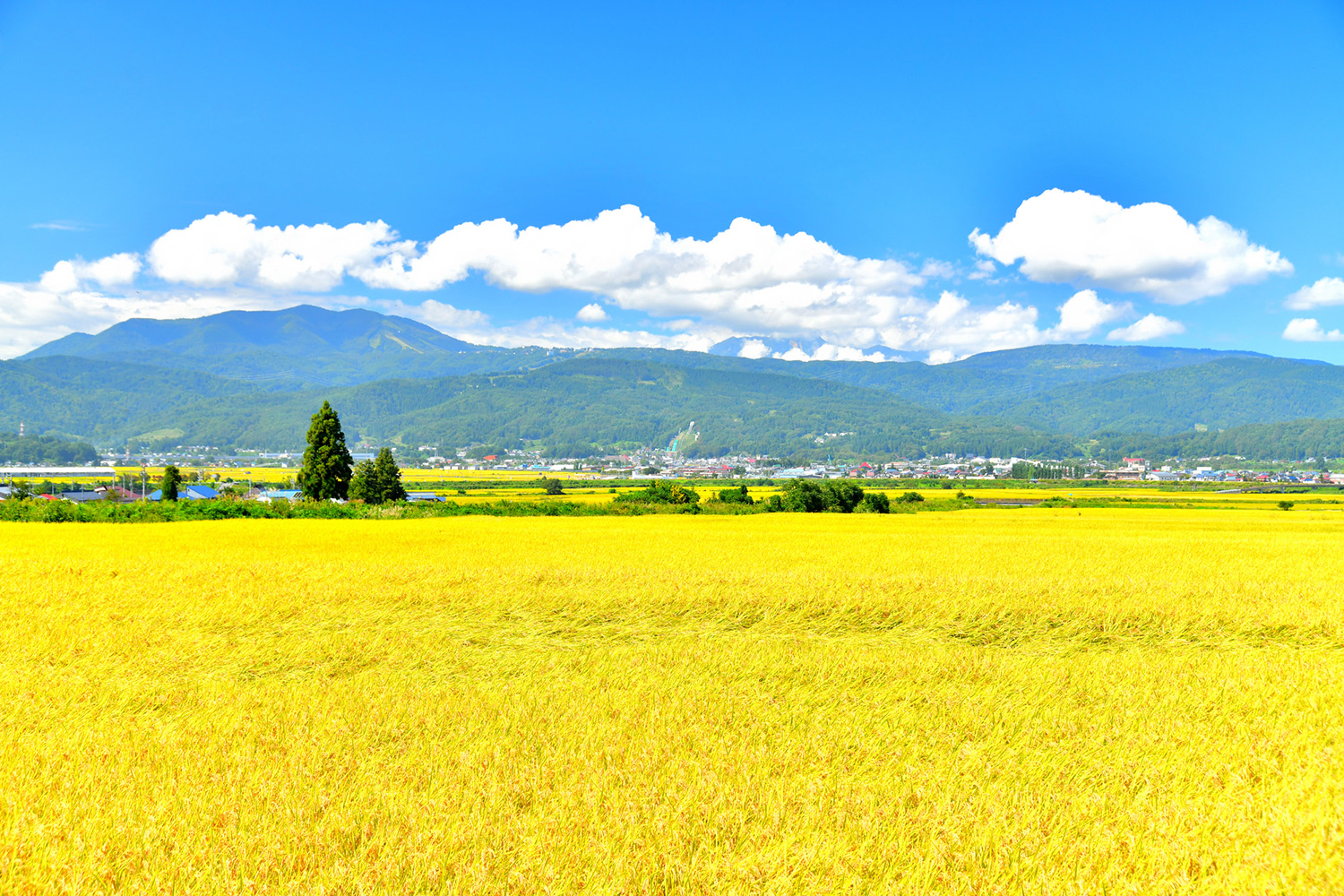 長野県の米どころイメージ