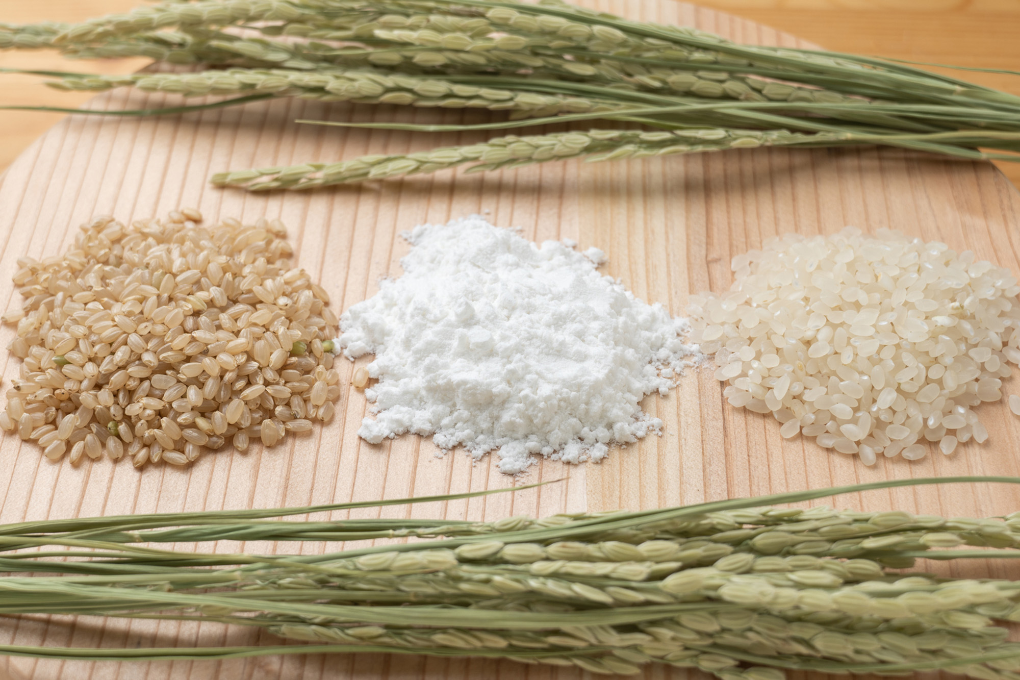 米粉と稲グルテンフリーのイメージ