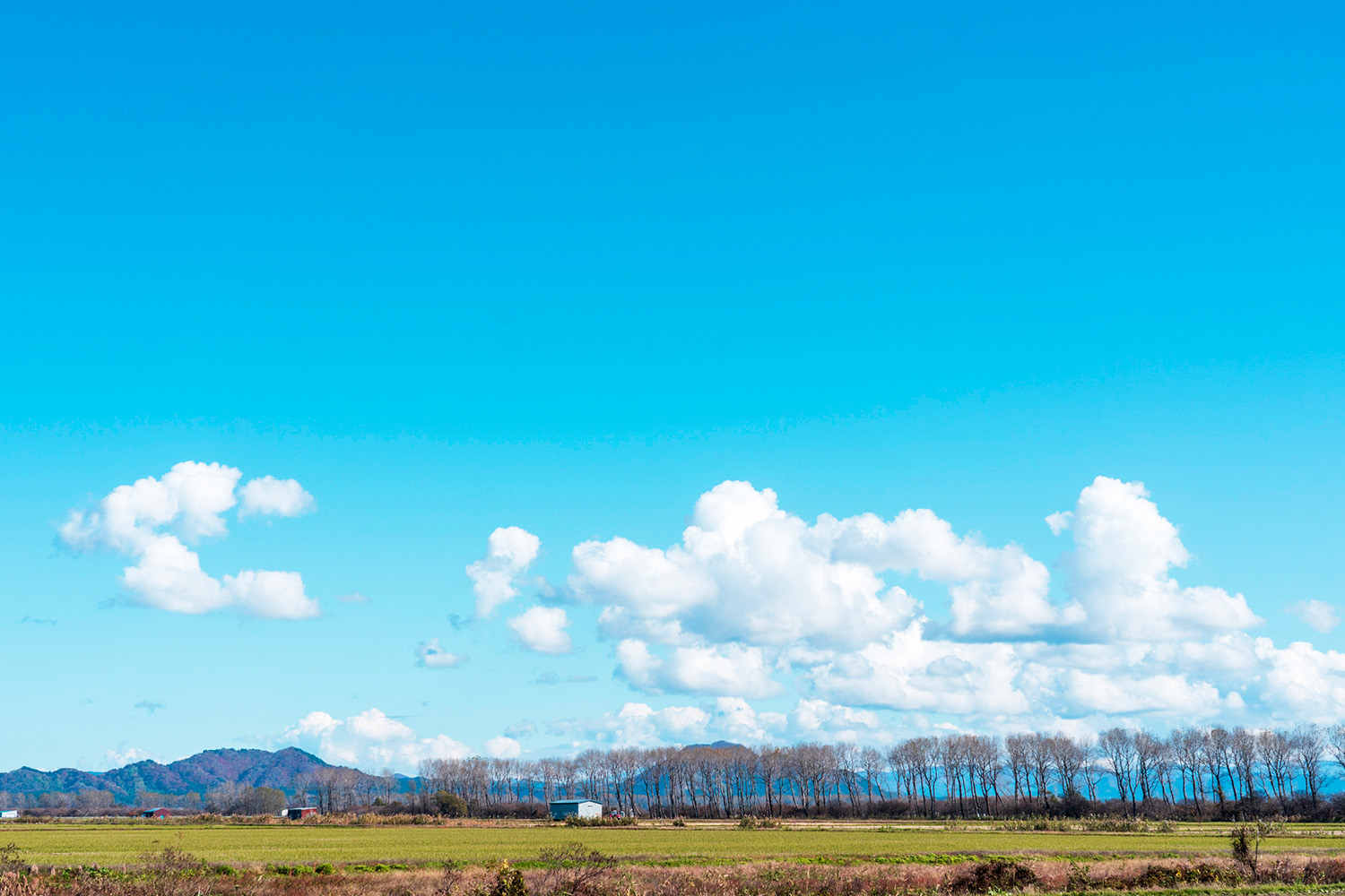 大潟村の風景