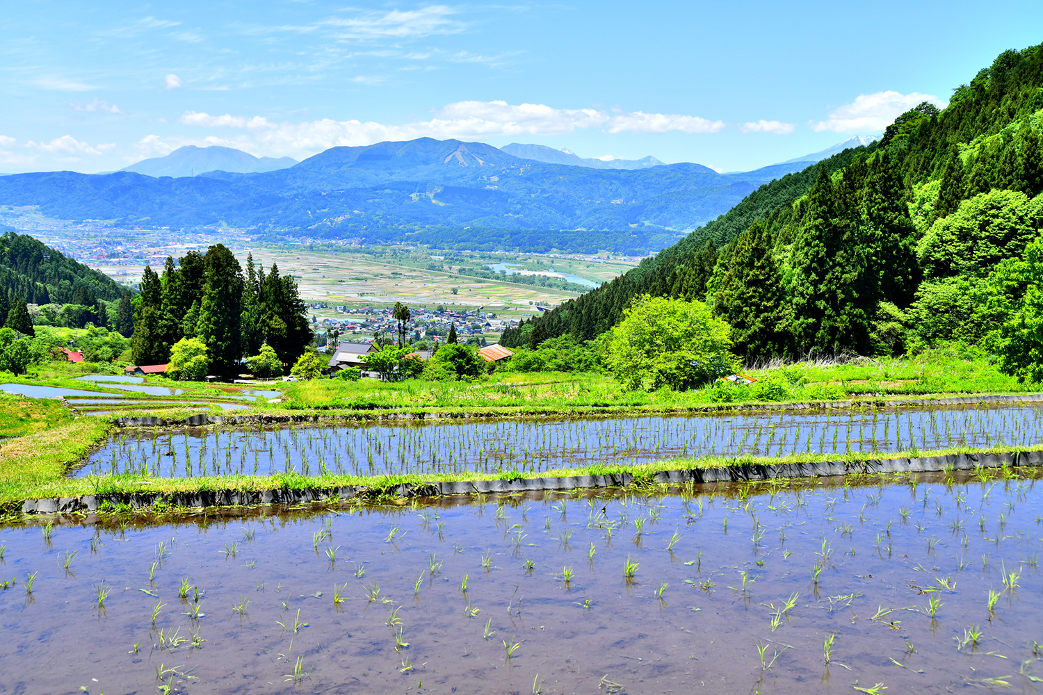 棚田から見る飯山市