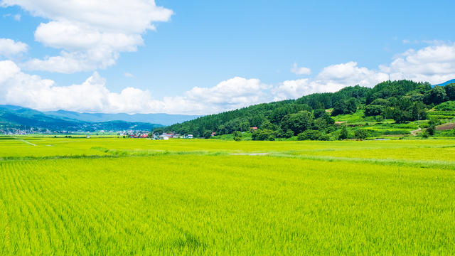 お米の産地イメージ