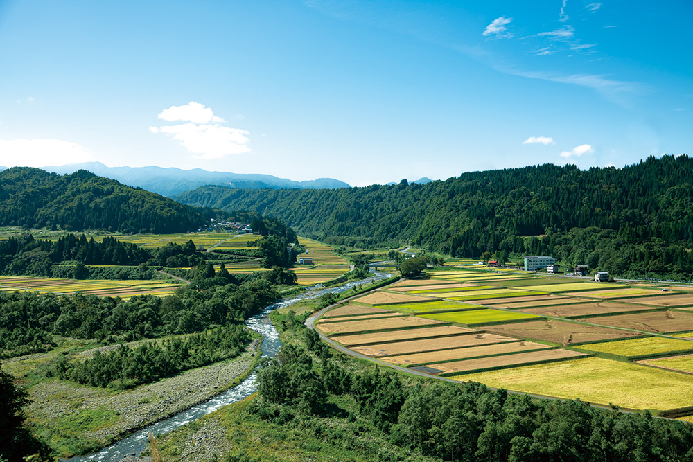 新潟の田園地帯のイメージ