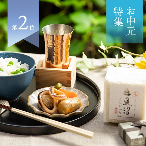 『越後の宝石』魚沼産コシヒカリ真空キューブ 6個セット(無洗米・各300g)