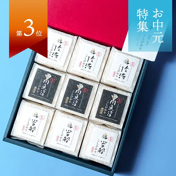 『越後の宝石』コシヒカリ真空キューブ9個セット(無洗米・各300g)