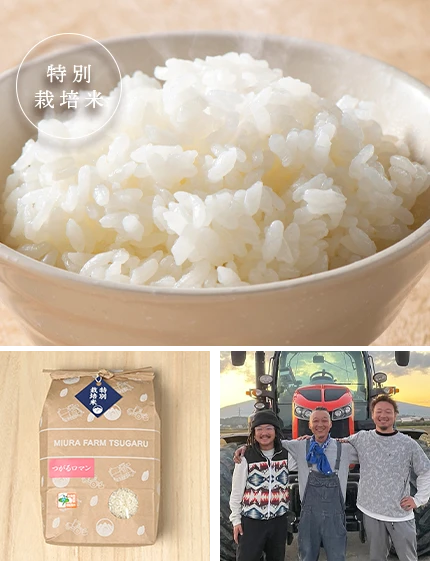 商品紹介