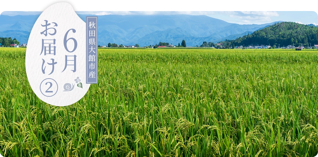 秋田県大館市産 5月にお届け