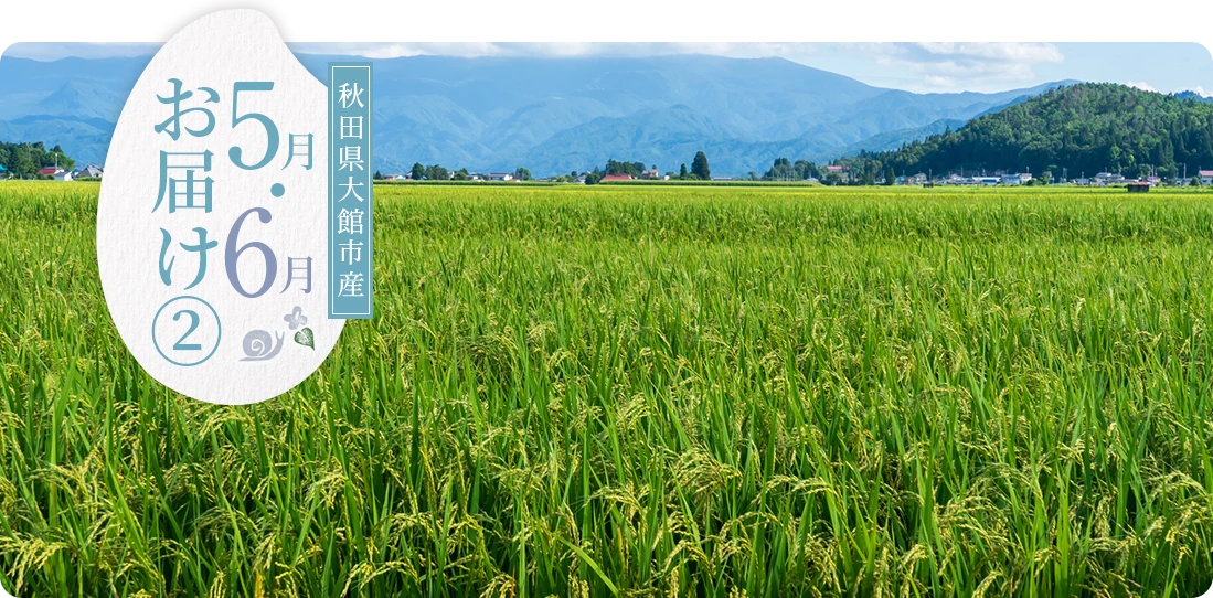 秋田県大館市産 5月にお届け