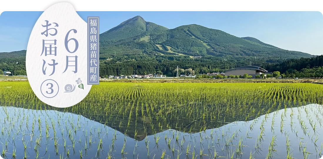 福島県猪苗代町産 5・6月にお届け