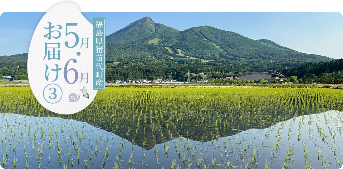 福島県猪苗代町産 5・6月にお届け