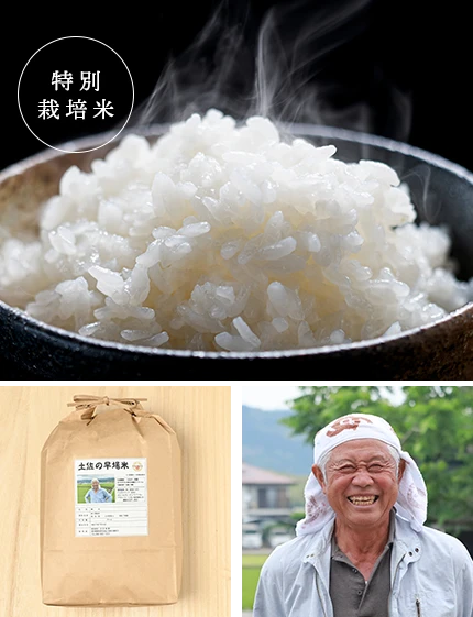 商品紹介