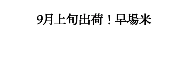 水月夜コシヒカリ