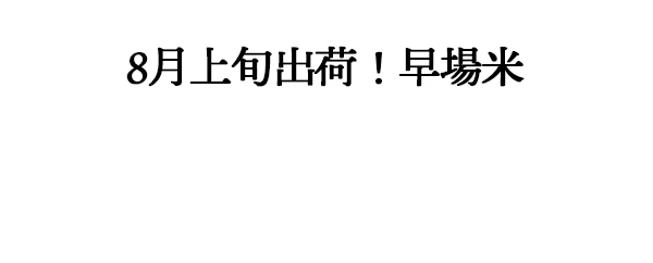 金賞土佐米コシヒカリ