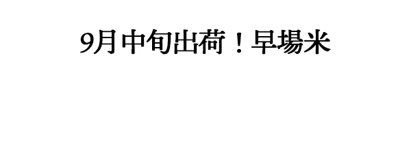 男の浪漫あきたこまち