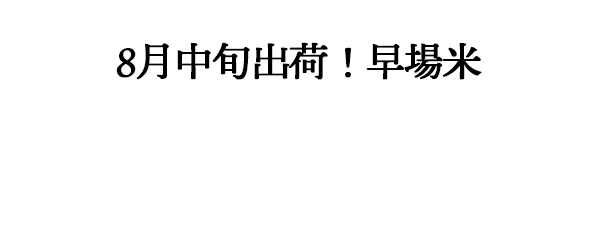 金賞近江米ミルキークイーン
