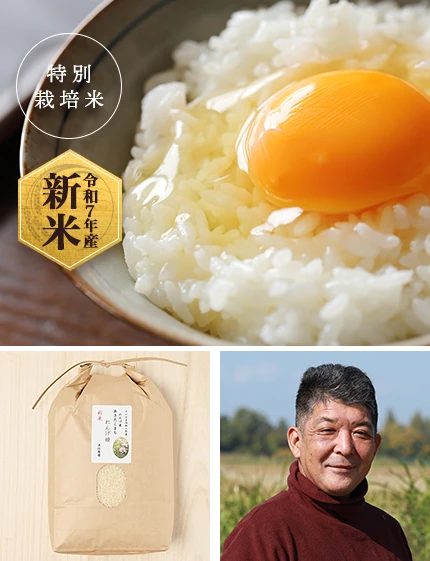 商品紹介