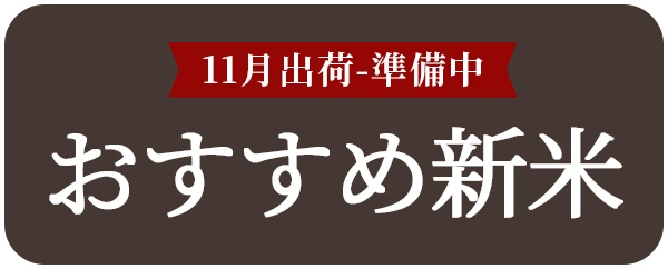 11月