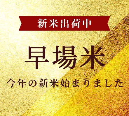 8月出荷!おすすめ米