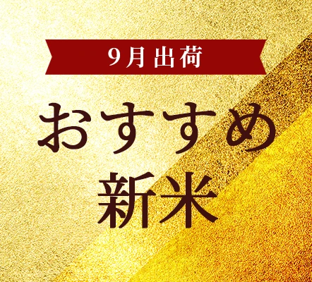 9月出荷!おすすめ米
