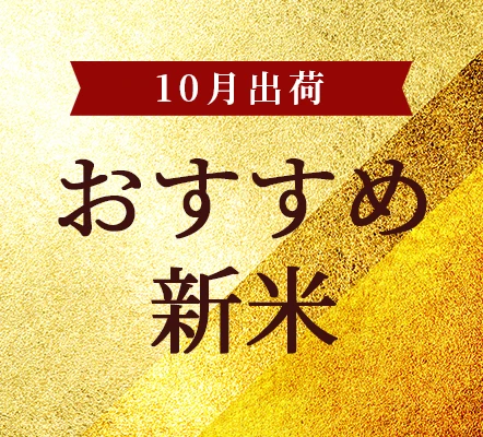10月出荷!おすすめ米