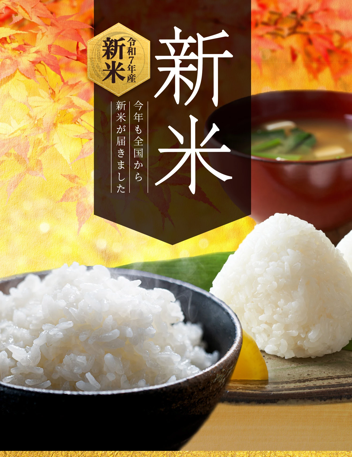 新米 冷めても美味しいお米 七城米 送料込み もちろん一等米