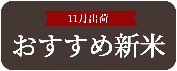 11月