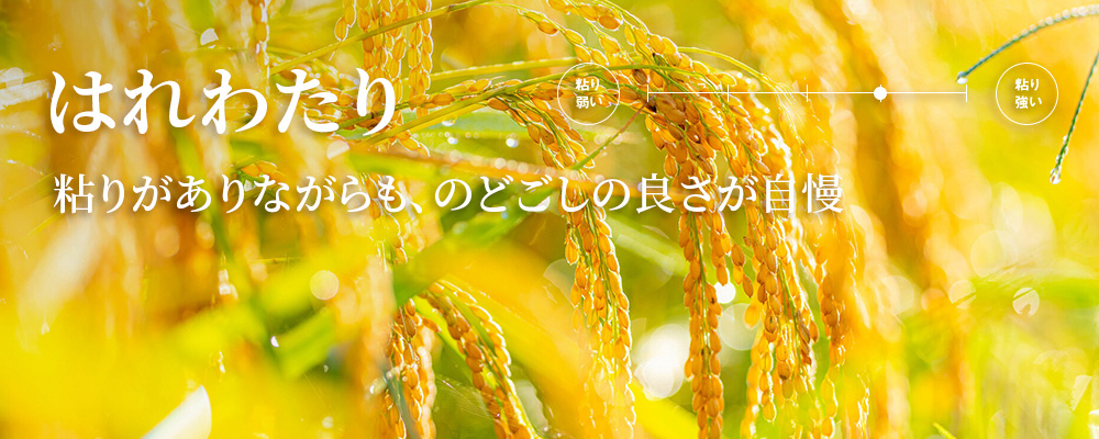 はれわたり特徴