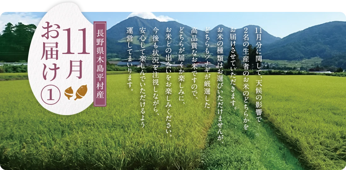 11月にお届け1