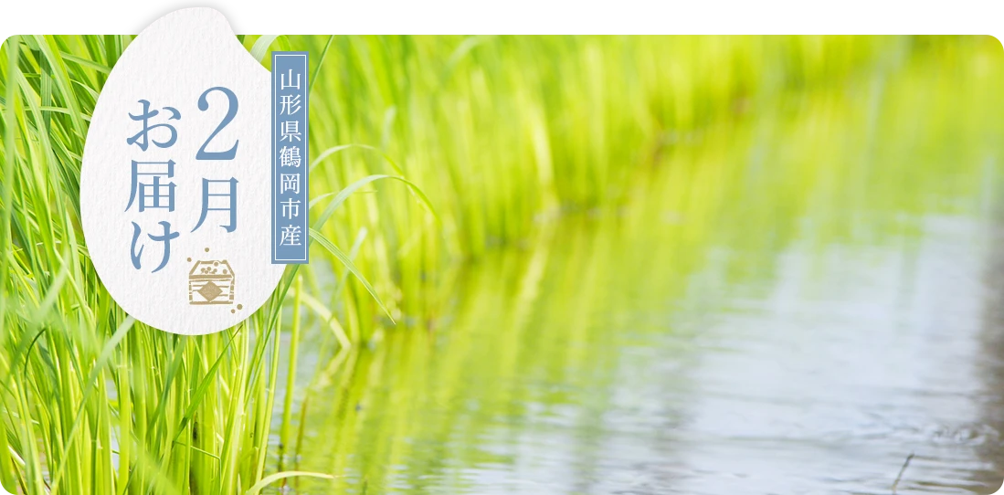山形県鶴岡市産 2月にお届け