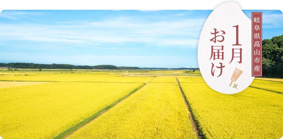 岐阜県高山市産 1月にお届け