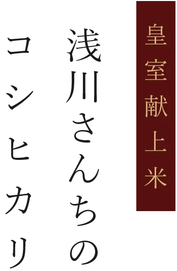 長野県安曇野の浅川さんちのお米(コシヒカリ/有機栽培米)