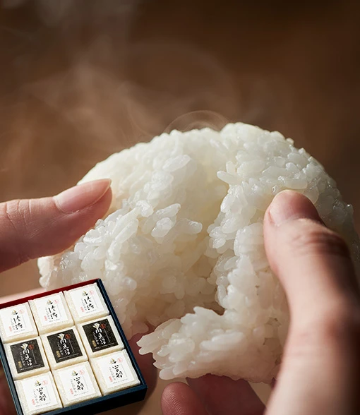 『越後の宝石』コシヒカリ真空キューブ9個セット(無洗米・各300g)