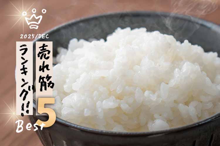 12月ランキング