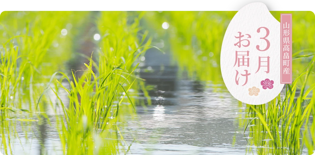 渡部さん3月にお届け