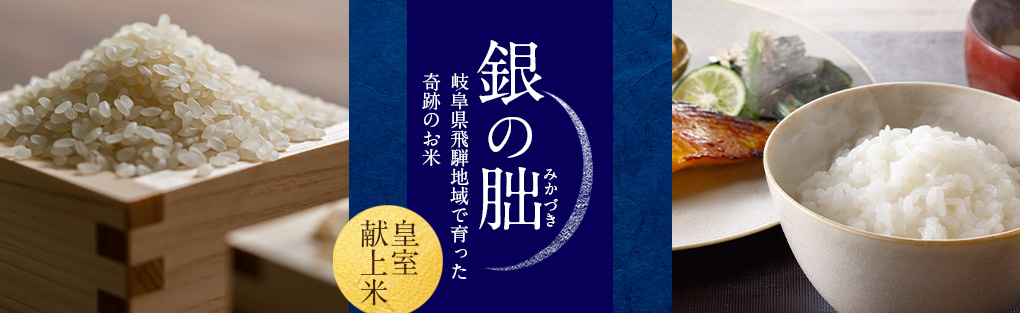 銀の朏イメージ