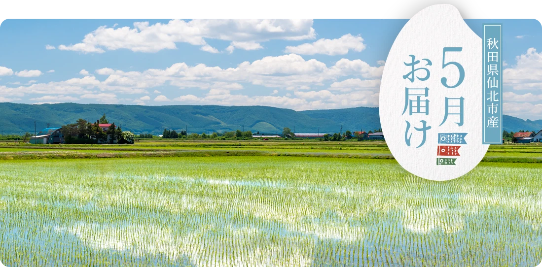 秋田県仙北市産 5月にお届け